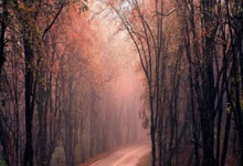 开云体育-俄罗斯将对阵斯洛伐克，胜负难料的简单介绍