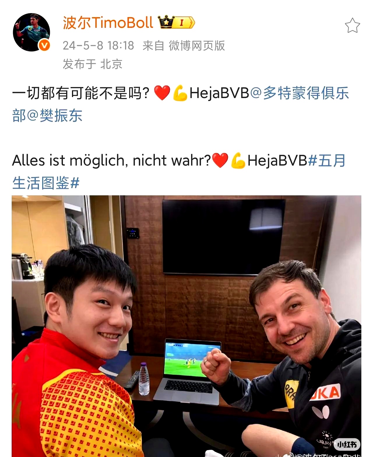 英国乒乓球队横扫日本乒乓球队,波尔送出助攻 英国乒乓球队横扫日本乒乓球队,波尔送出助攻