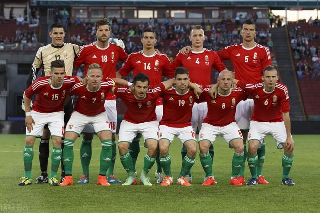 开云官方app入口-关于波兰在客场战胜阿尔巴尼亚，实现三连胜的信息