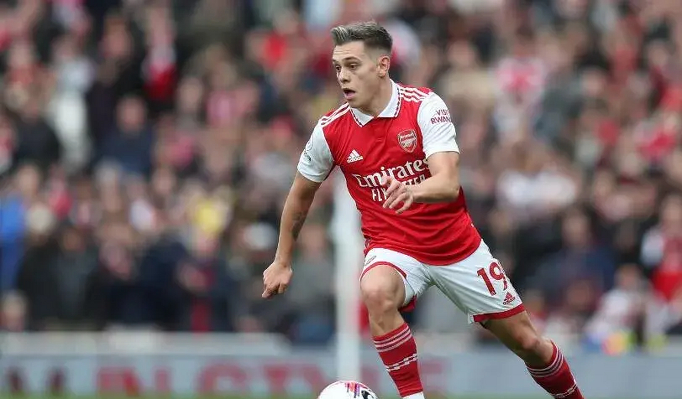 体育传奇崭露头角：一战成名的豪迈姿态的简单介绍