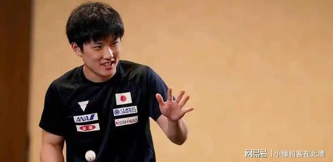 比利时乒乓球队完胜德国乒乓球队,张本智和惊艳世界的简单介绍 比利时乒乓球队完胜德国乒乓球队,张本智和惊艳世界的简单介绍