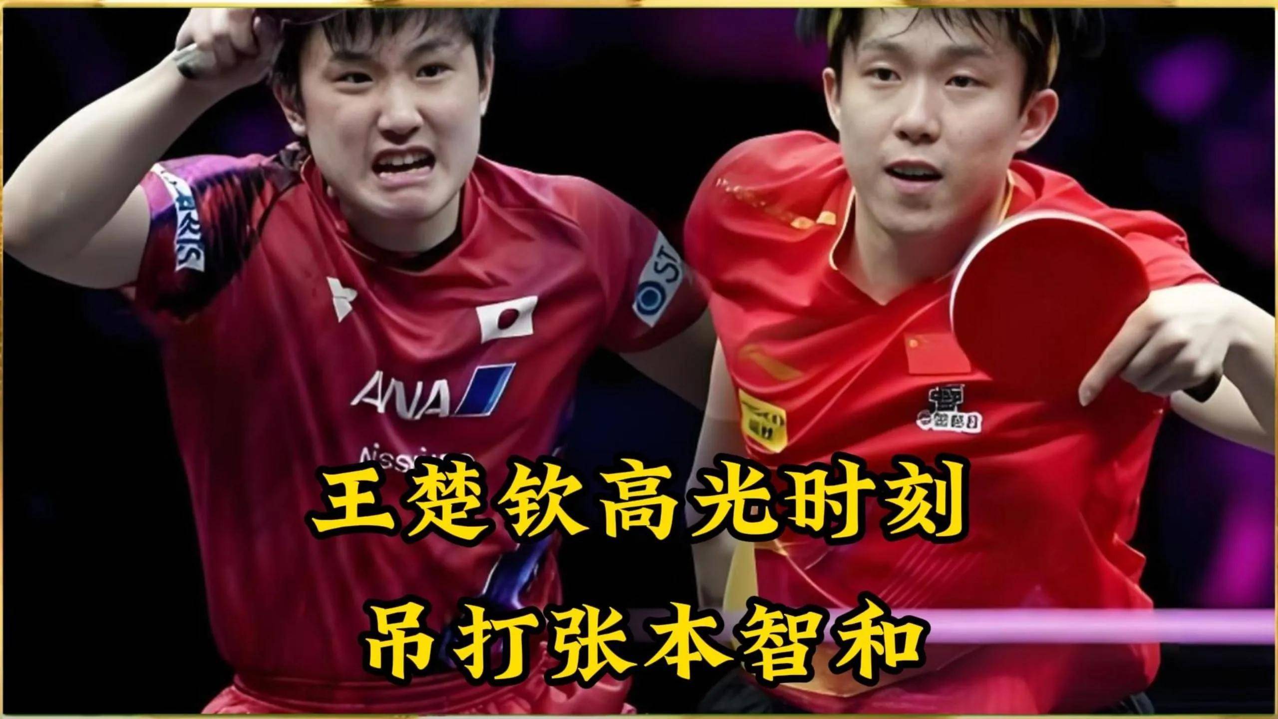 开云体育下载-波兰队力克中国队，张本智和惊艳四座的简单介绍