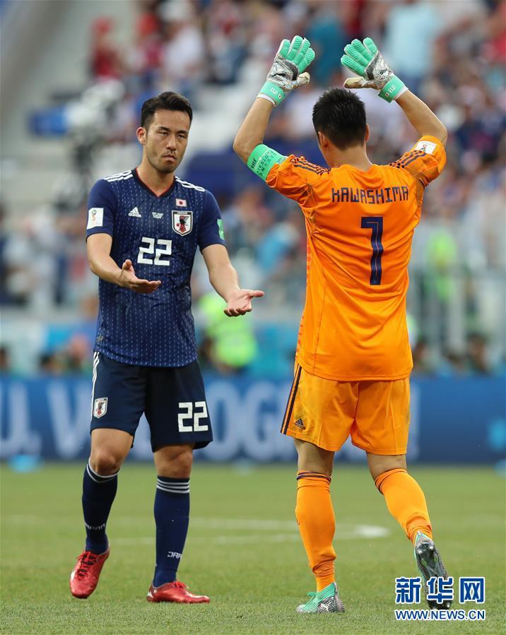 波兰队力克中国队，张本智和惊艳四座的简单介绍